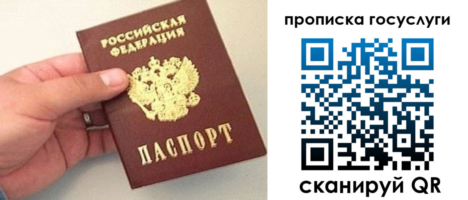 где прописаться в Ворсме